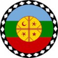 /album/fotogaleria-inicio/bandera-mapuche-jpg/